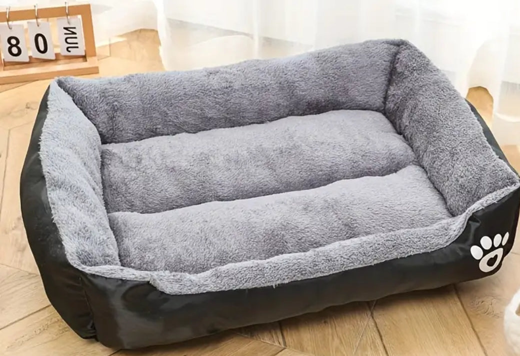 Cuccia per cane