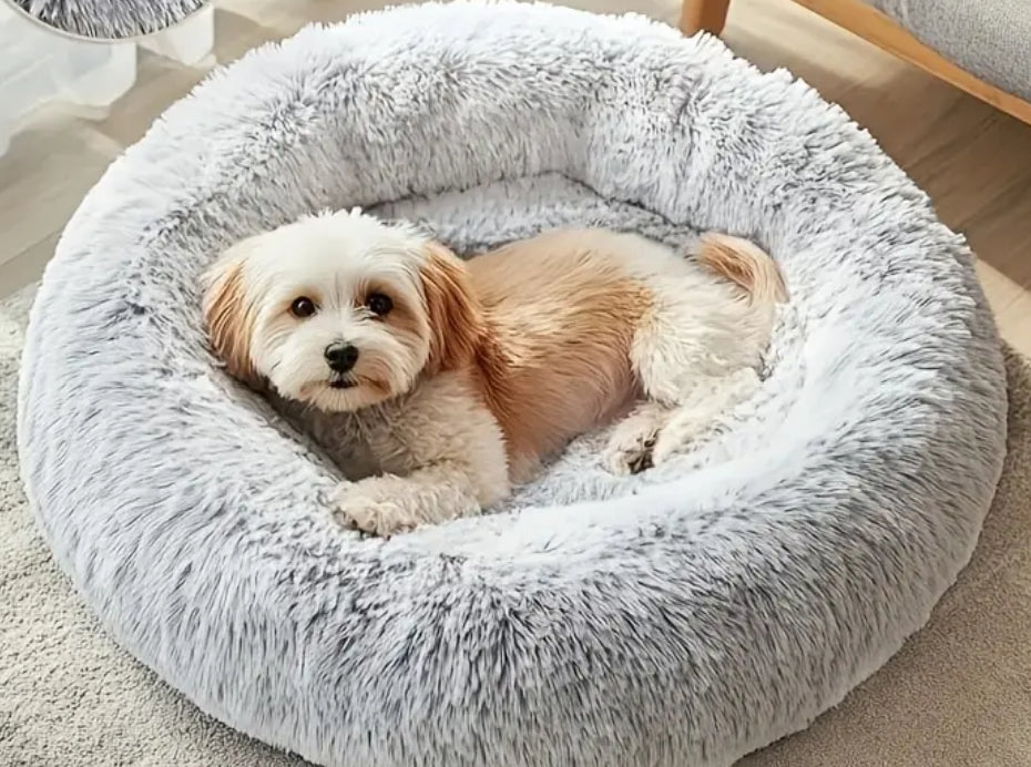 Cuccetta per cagnolini piccoli