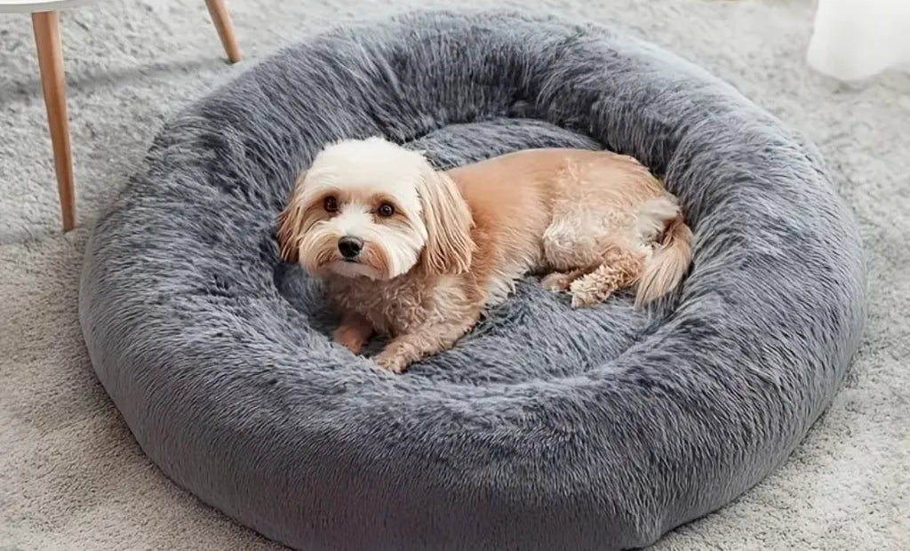 Cuccetta per cagnolini piccoli