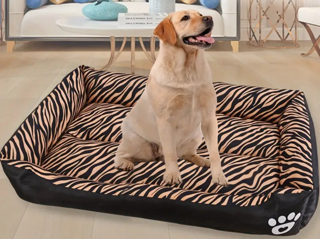 Cuccia per cane