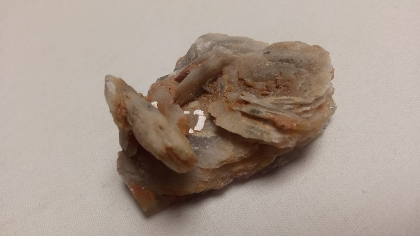 Barite di barbusi