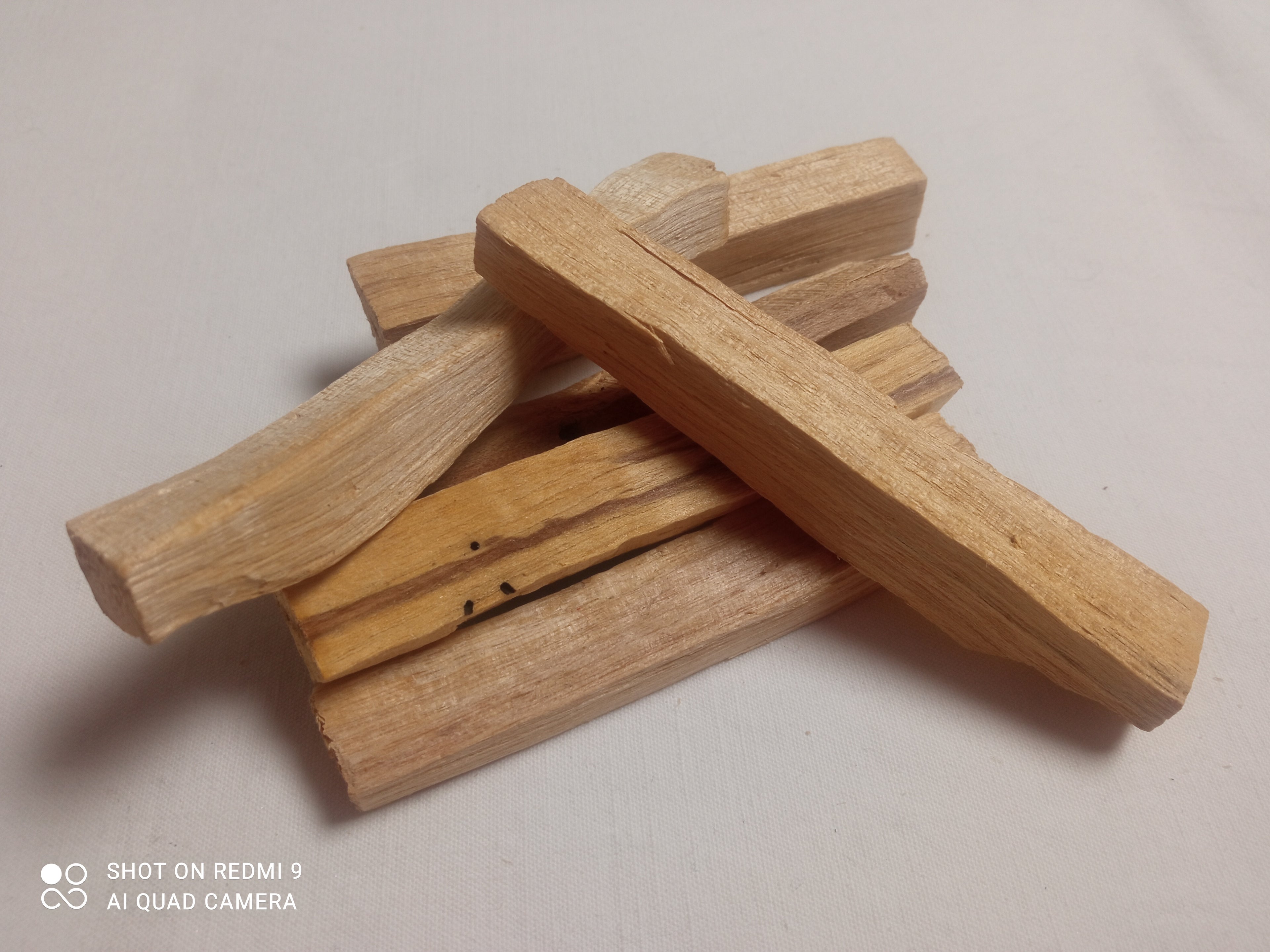 𝙿𝚊𝚕𝚘 𝚜𝚊𝚗𝚝𝚘