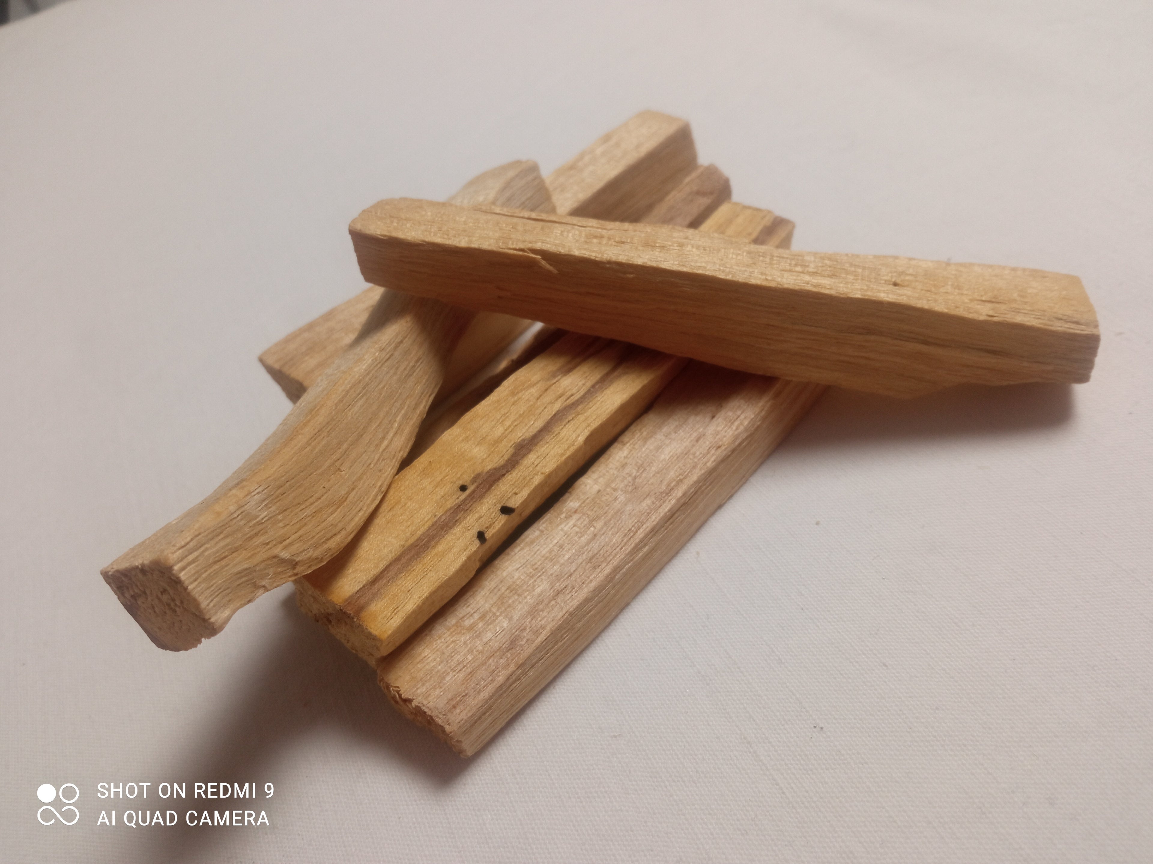 𝙿𝚊𝚕𝚘 𝚜𝚊𝚗𝚝𝚘